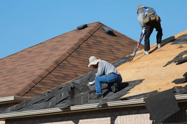 Best Roof Moss and Algae Removal  in Rogers, TX